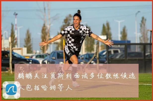 鹈鹕关注莫斯利面试多位教练候选人包括哈姆等人
